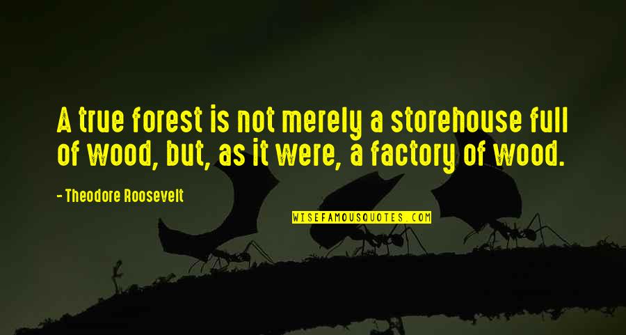 Best Work Anniversary Quotes By Theodore Roosevelt: A true forest is not merely a storehouse