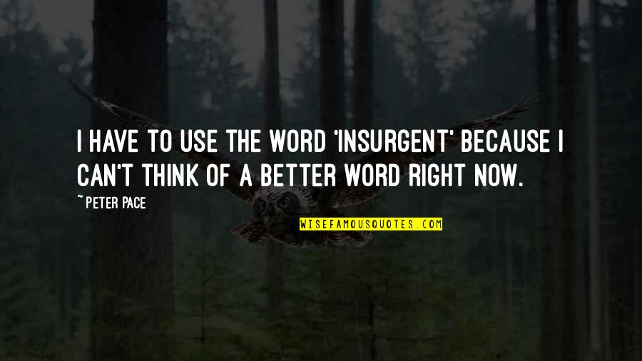 Better Than Okay Quotes By Peter Pace: I have to use the word 'insurgent' because