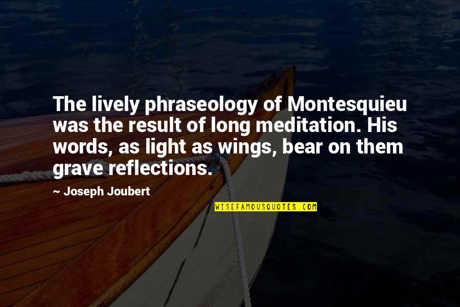 Bewilderment Synonyms Quotes By Joseph Joubert: The lively phraseology of Montesquieu was the result