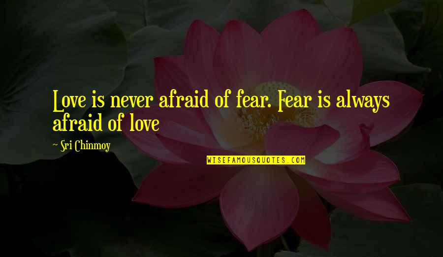 Bex Baxter Quotes By Sri Chinmoy: Love is never afraid of fear. Fear is