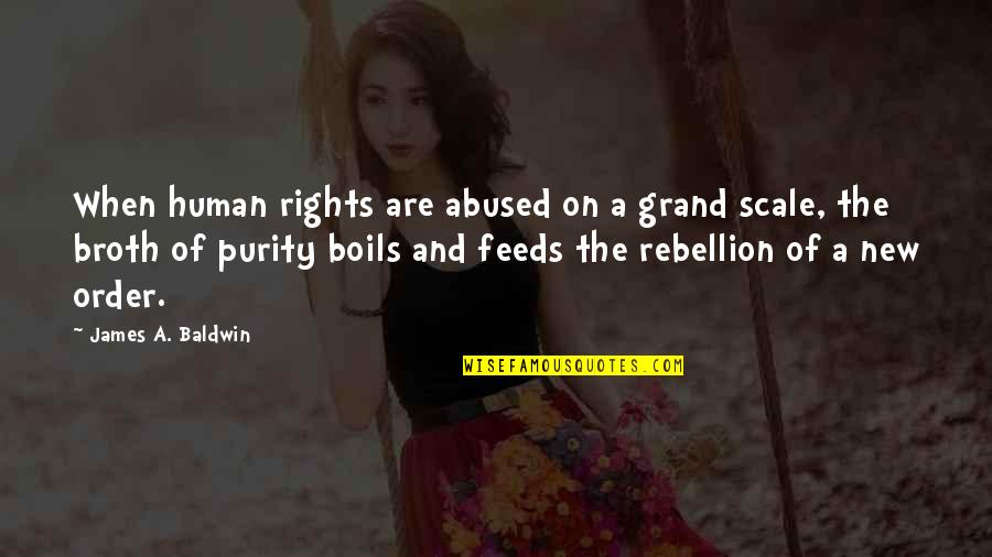 Bharosa In Urdu Quotes By James A. Baldwin: When human rights are abused on a grand