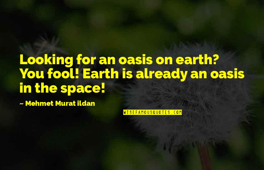 Bibbs Art Quotes By Mehmet Murat Ildan: Looking for an oasis on earth? You fool!