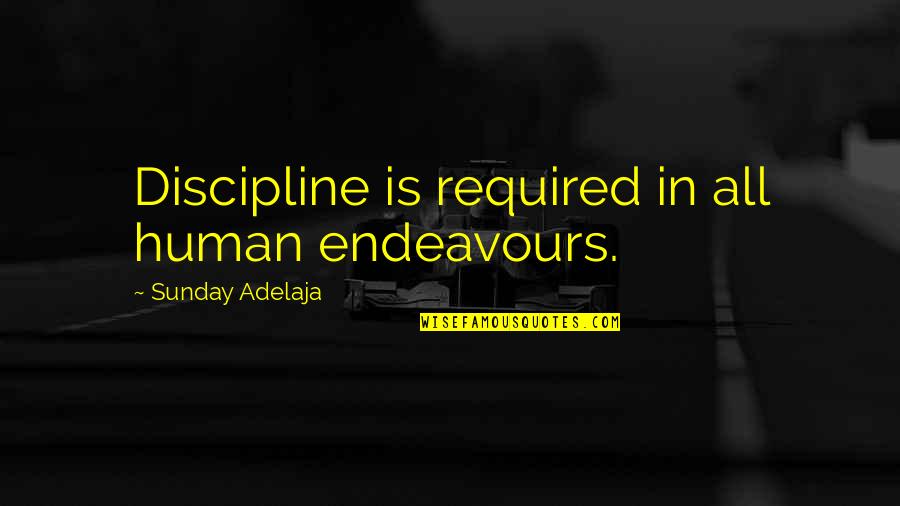 Bible Payback Quotes By Sunday Adelaja: Discipline is required in all human endeavours.