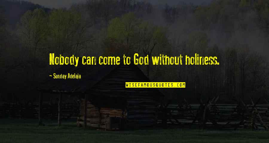 Biblical Herbs Quotes By Sunday Adelaja: Nobody can come to God without holiness.