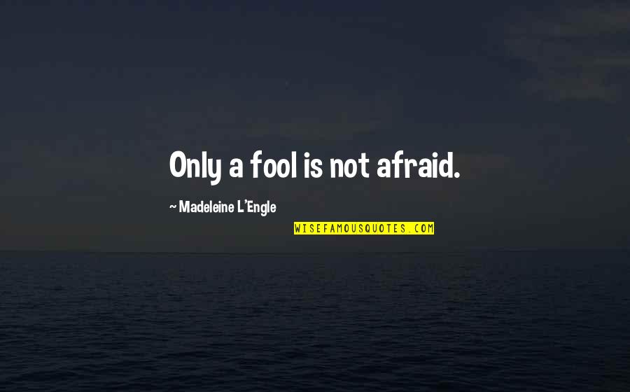 Bierly And Rabuck Quotes By Madeleine L'Engle: Only a fool is not afraid.