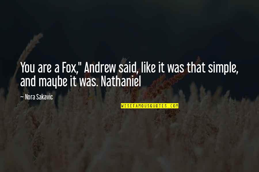 Big Brother 16 Quotes By Nora Sakavic: You are a Fox," Andrew said, like it