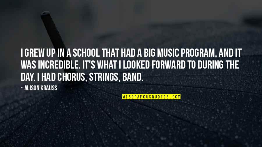 Big It Up Quotes By Alison Krauss: I grew up in a school that had
