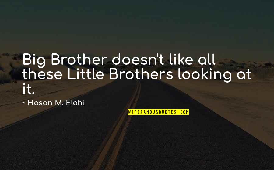 Big Little Brother Quotes By Hasan M. Elahi: Big Brother doesn't like all these Little Brothers