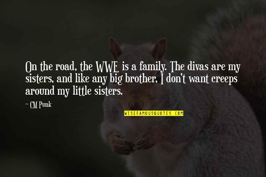 Big Sister Little Brother Quotes By CM Punk: On the road, the WWE is a family.