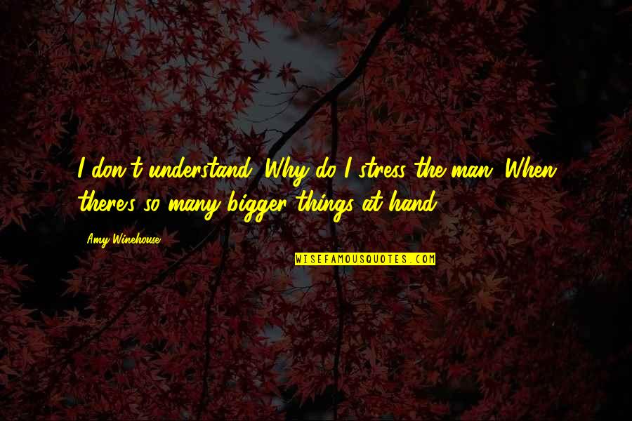 Bigger Heart Quotes By Amy Winehouse: I don't understand, Why do I stress the