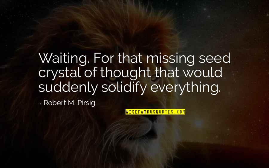 Bigjigglypanda Quotes By Robert M. Pirsig: Waiting. For that missing seed crystal of thought