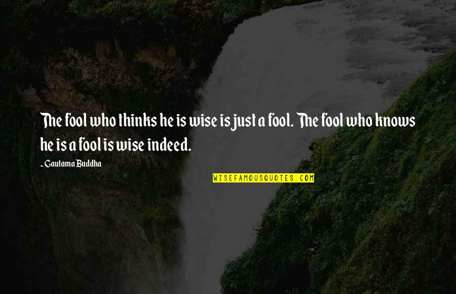 Bird Breeding Quotes By Gautama Buddha: The fool who thinks he is wise is