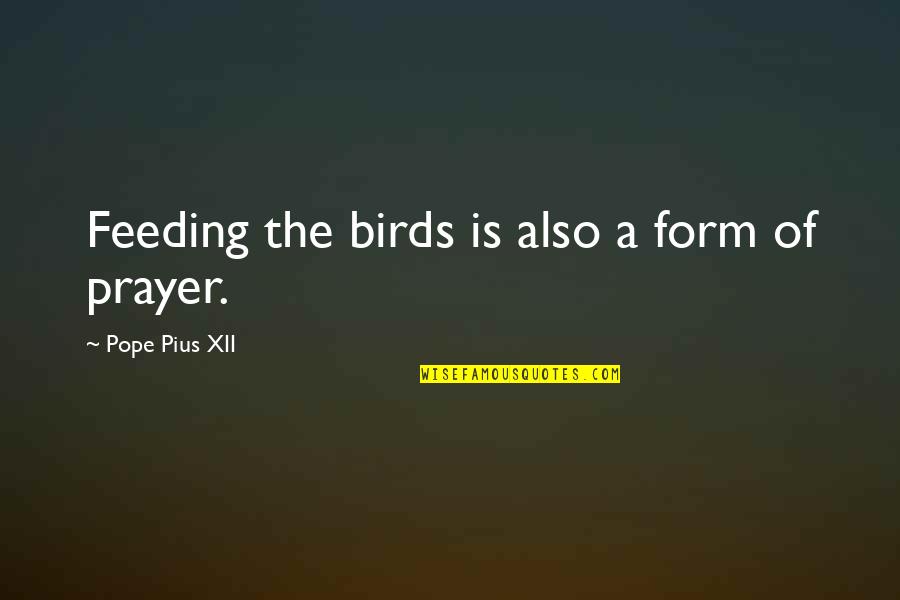 Birds Feeding Quotes By Pope Pius XII: Feeding the birds is also a form of