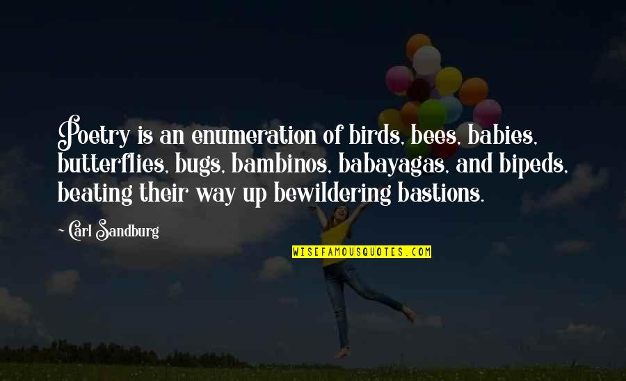 Birds N Bees Quotes By Carl Sandburg: Poetry is an enumeration of birds, bees, babies,