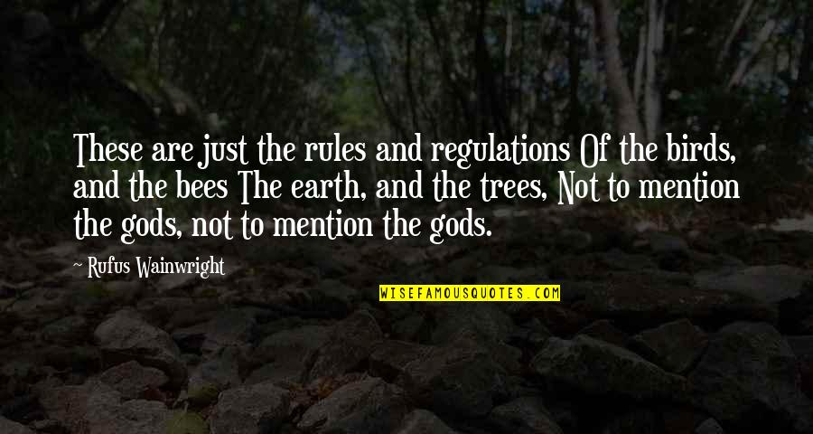 Birds N Bees Quotes By Rufus Wainwright: These are just the rules and regulations Of