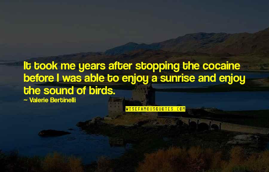 Birds Sound Quotes By Valerie Bertinelli: It took me years after stopping the cocaine