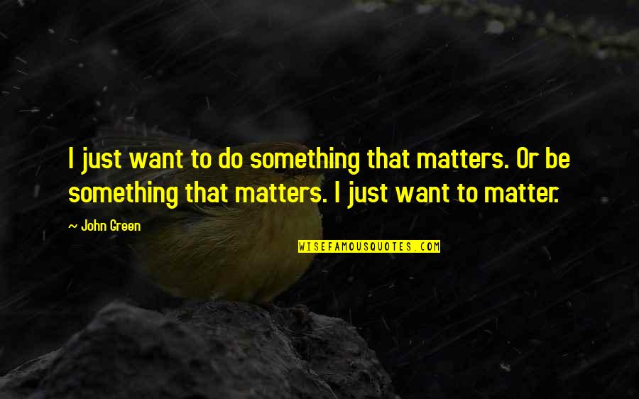 Bissi Re Peintre Quotes By John Green: I just want to do something that matters.