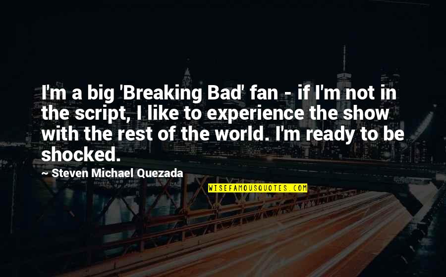 Bjj Quotes By Steven Michael Quezada: I'm a big 'Breaking Bad' fan - if