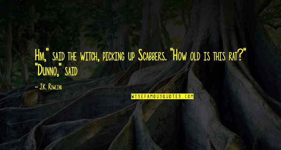 Bjj Training Quotes By J.K. Rowling: Hm," said the witch, picking up Scabbers. "How