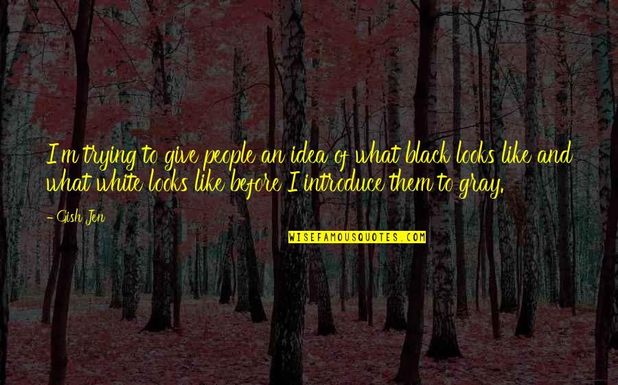 Black And Gray Quotes By Gish Jen: I'm trying to give people an idea of