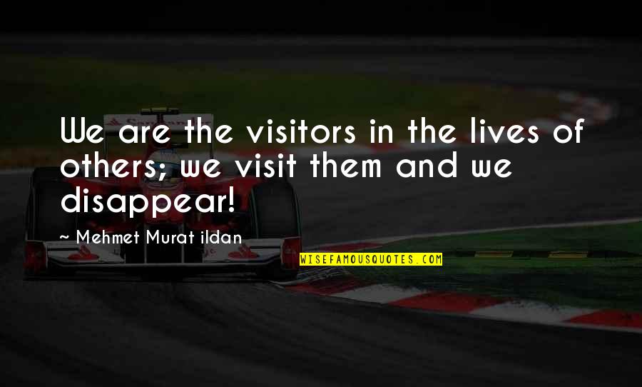 Black Beetle Quotes By Mehmet Murat Ildan: We are the visitors in the lives of