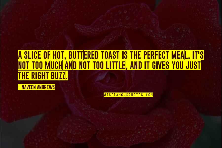 Black Color Clothes Quotes By Naveen Andrews: A slice of hot, buttered toast is the