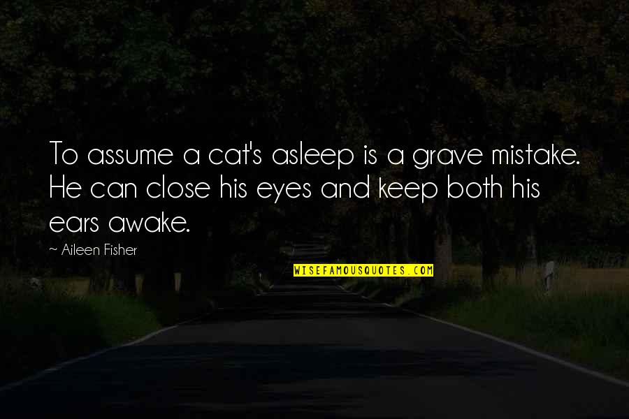 Black Dance Expressing Quotes By Aileen Fisher: To assume a cat's asleep is a grave