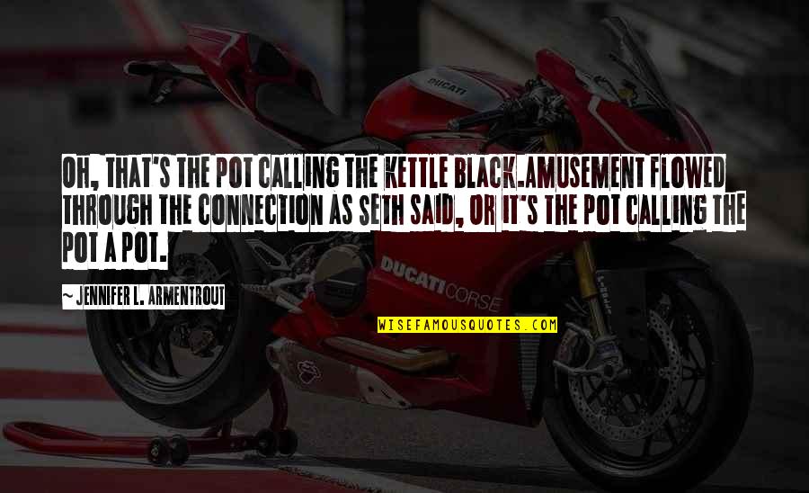 Black Through Quotes By Jennifer L. Armentrout: Oh, that's the pot calling the kettle black.Amusement