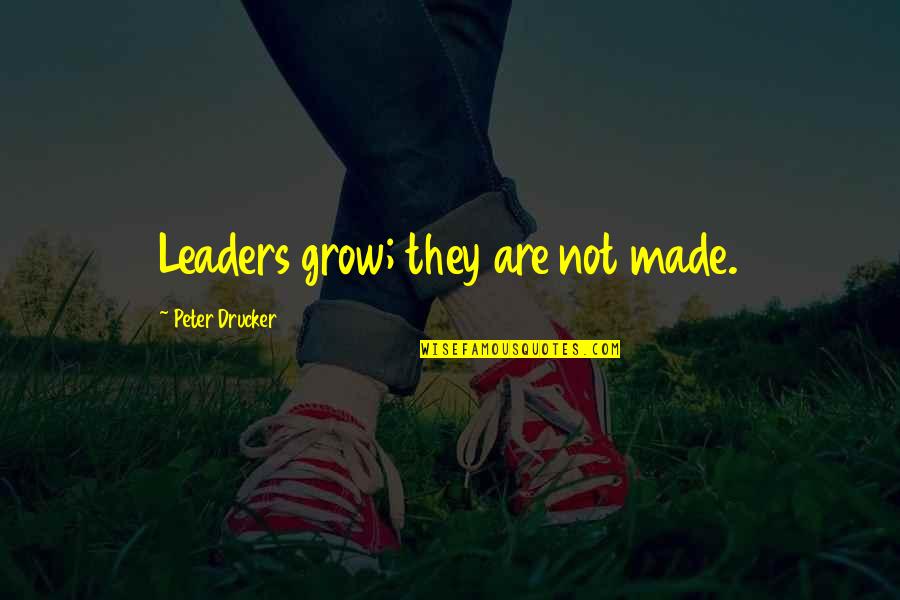 Blazblue Azrael Quotes By Peter Drucker: Leaders grow; they are not made.