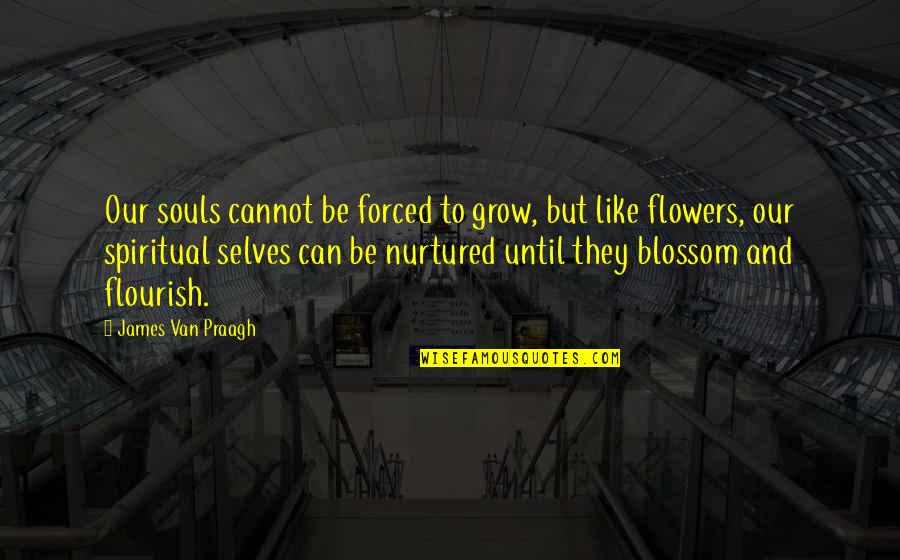 Blazt Zone Quotes By James Van Praagh: Our souls cannot be forced to grow, but