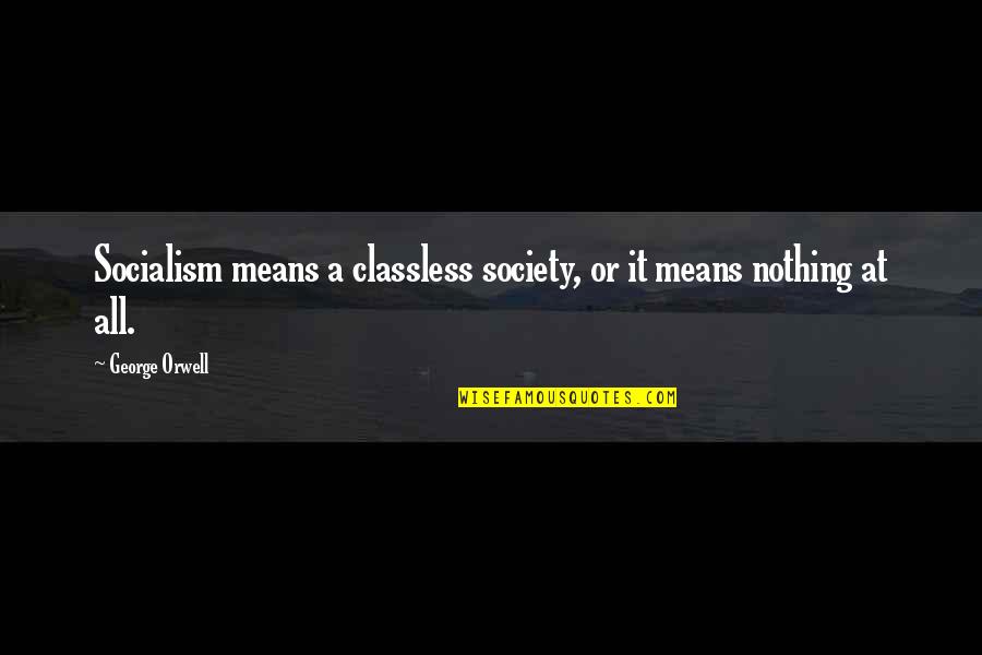 Bleiweiss Plumbing Quotes By George Orwell: Socialism means a classless society, or it means