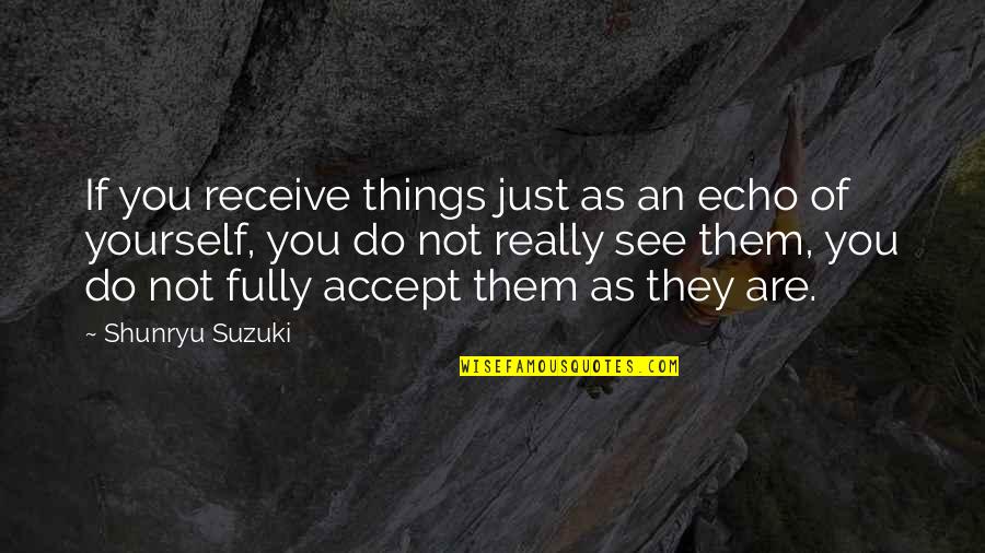 Blessed Marriage Quotes By Shunryu Suzuki: If you receive things just as an echo