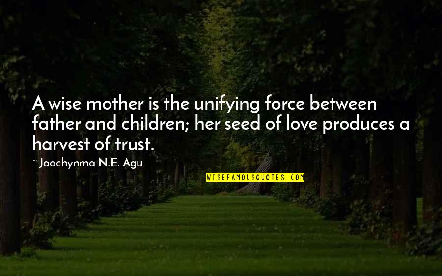 Blessings And Prosperity Quotes By Jaachynma N.E. Agu: A wise mother is the unifying force between