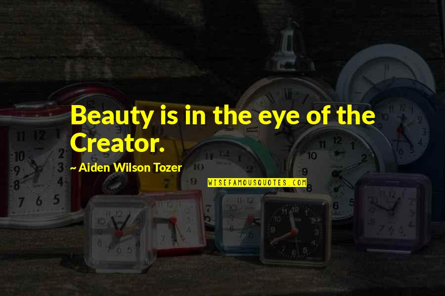 Blitzer And Pelosi Quotes By Aiden Wilson Tozer: Beauty is in the eye of the Creator.