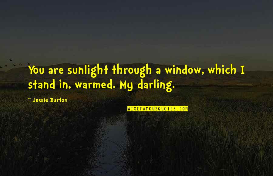 Blood Alley Quotes By Jessie Burton: You are sunlight through a window, which I