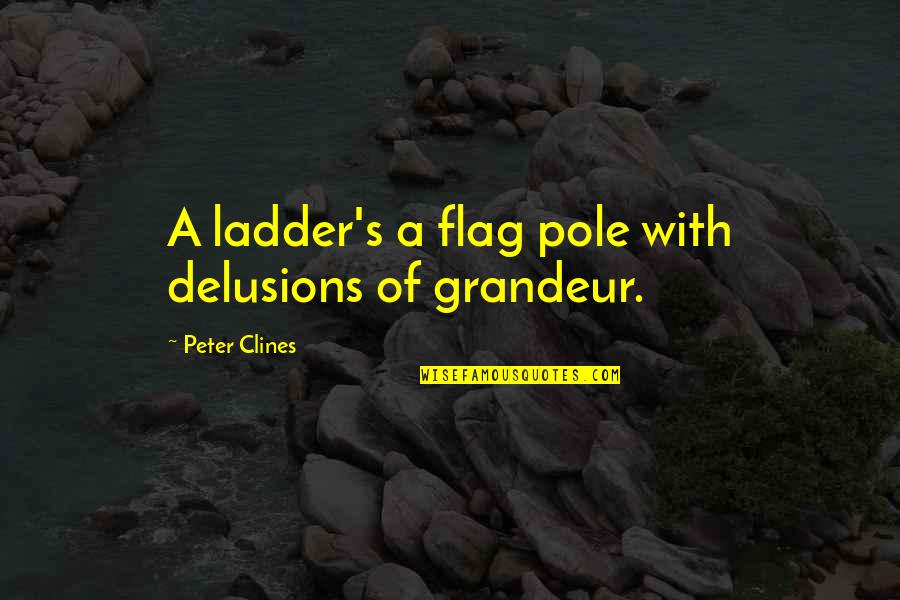 Blue Boy Quotes By Peter Clines: A ladder's a flag pole with delusions of