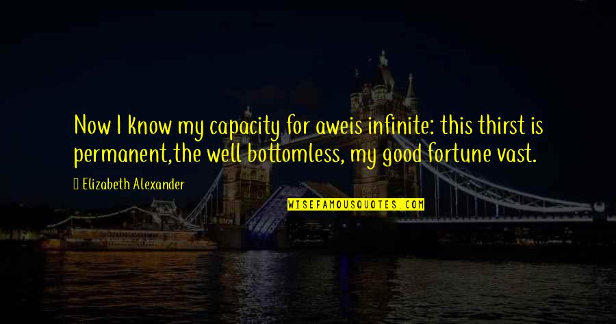 Bluebills Florence Quotes By Elizabeth Alexander: Now I know my capacity for aweis infinite: