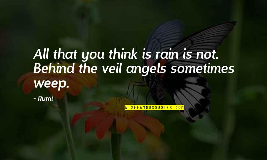 Bobrovecke Quotes By Rumi: All that you think is rain is not.