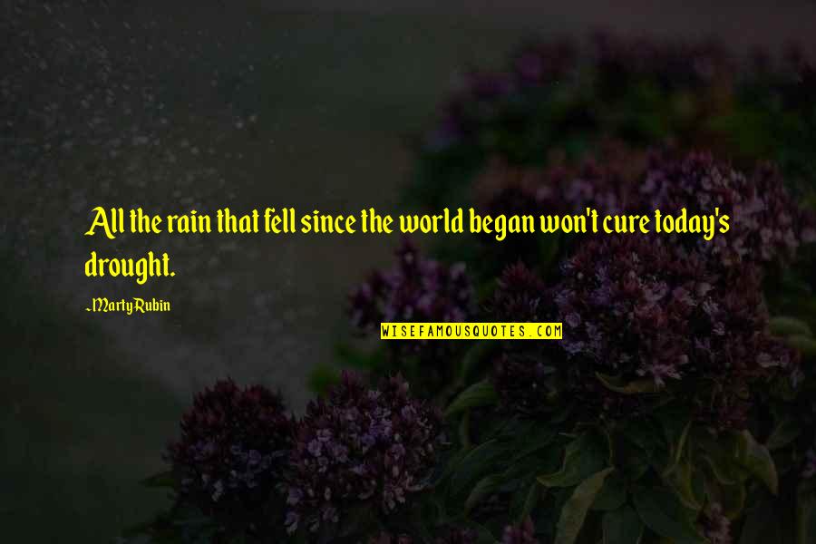 Bommenvrij Quotes By Marty Rubin: All the rain that fell since the world