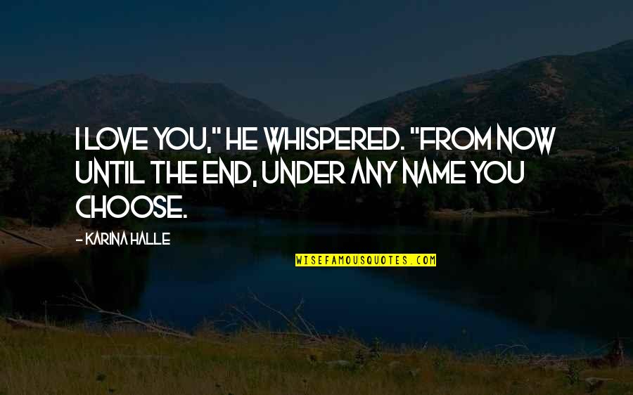 Bonjour Tristesse Memorable Quotes By Karina Halle: I love you," he whispered. "From now until