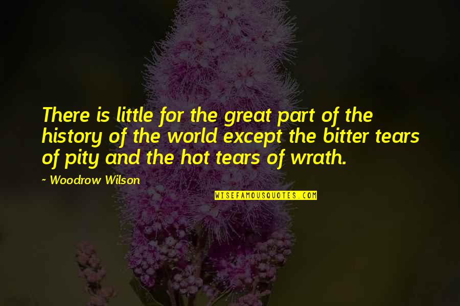 Bonzai Quotes By Woodrow Wilson: There is little for the great part of