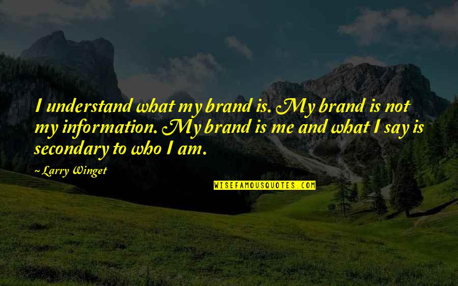 Booklandiabox Quotes By Larry Winget: I understand what my brand is. My brand