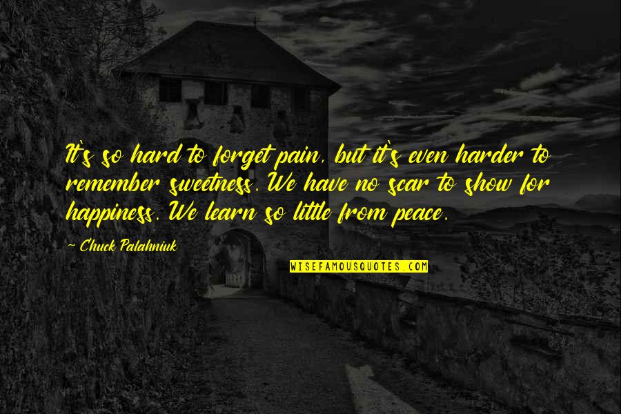 Bornova Anadolu Quotes By Chuck Palahniuk: It's so hard to forget pain, but it's