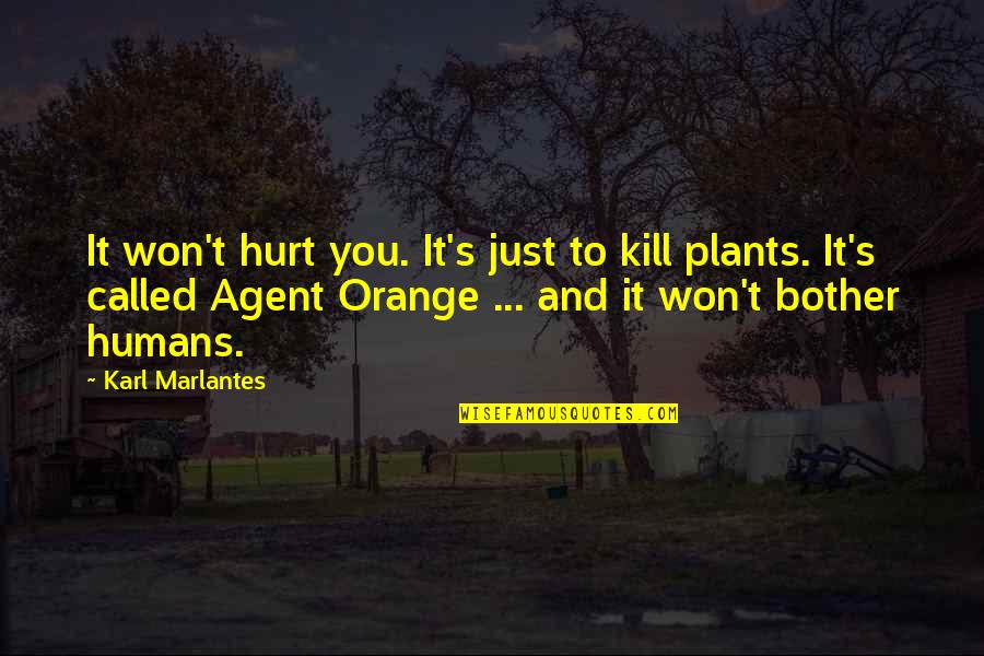 Bother Quotes By Karl Marlantes: It won't hurt you. It's just to kill