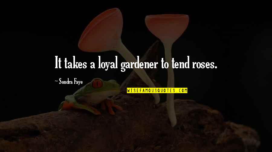 Boukje Eerkens Quotes By Sondra Faye: It takes a loyal gardener to tend roses.