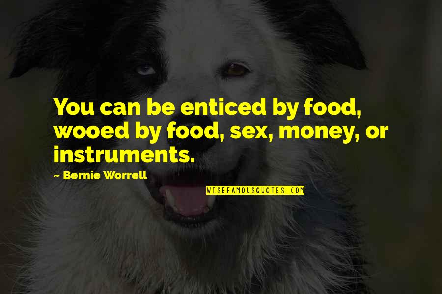 Boussala Quotes By Bernie Worrell: You can be enticed by food, wooed by