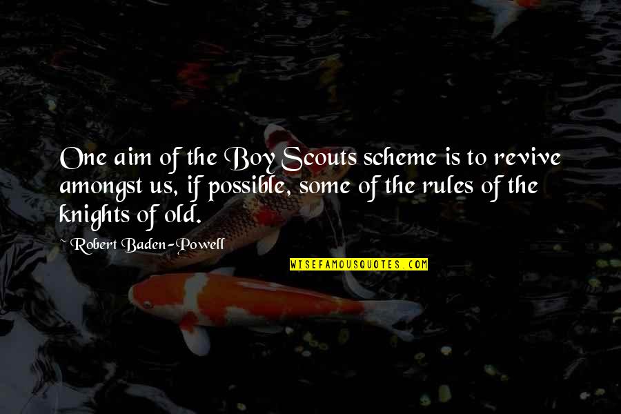 Boy Scouts Quotes By Robert Baden-Powell: One aim of the Boy Scouts scheme is