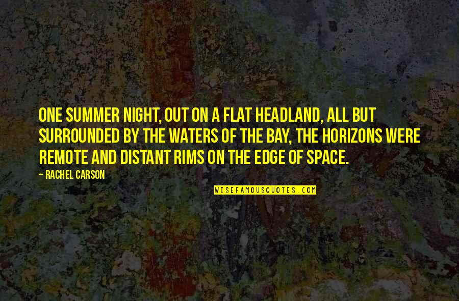 Boyfriends Ex Wife Quotes By Rachel Carson: One summer night, out on a flat headland,