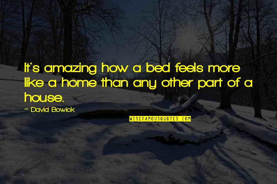 Bozos Bbq Quotes By David Bowick: It's amazing how a bed feels more like