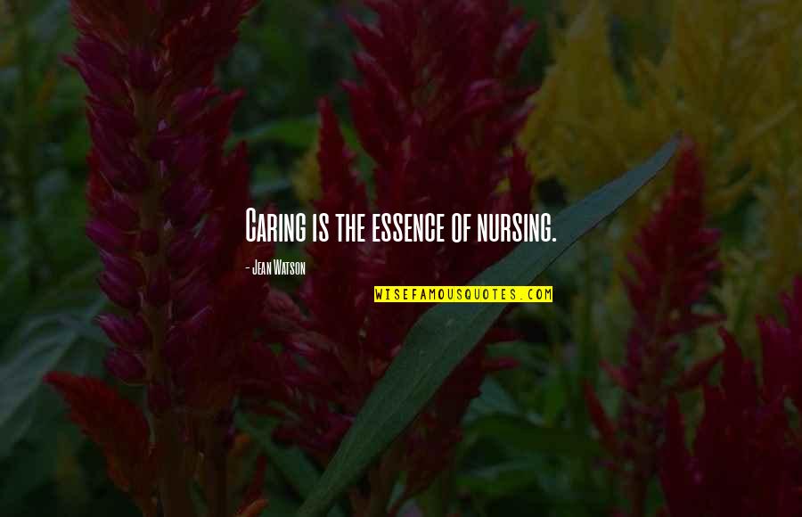 Braidotti Transpositions Quotes By Jean Watson: Caring is the essence of nursing.
